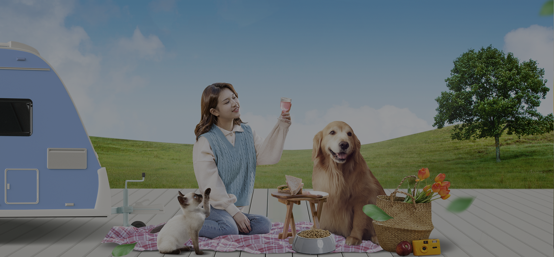 |안심 분양 / 착한 분양 / 정직한 분양/100여마리 강아지 상시 보유
