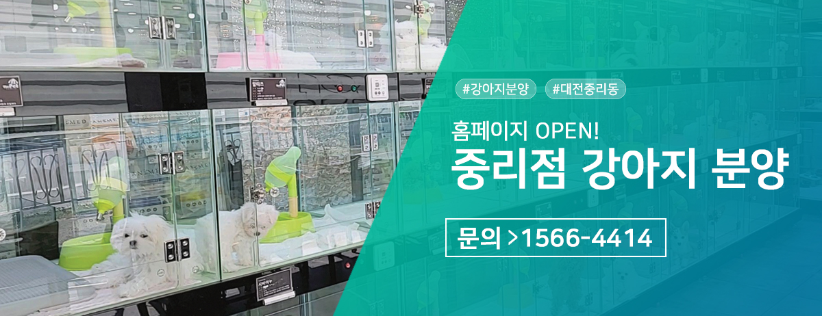 이미지명