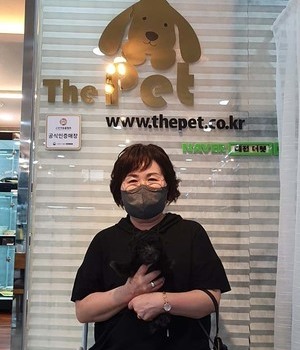 푸들 분양후기 [22.8.8]