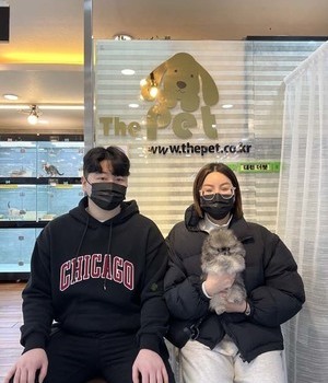 포메라니안 분양후기 [22.11.16]