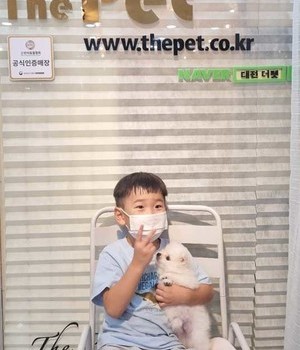 포메라니안 분양후기 [22.8.14]