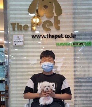 푸들 분양후기 [22.7.24]