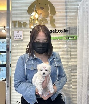푸들 분양후기 [22.10.11]
