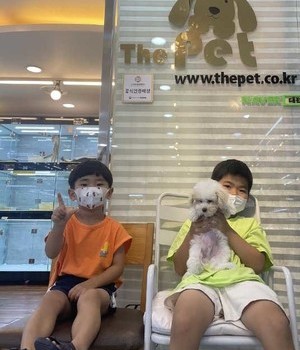 푸숑 분양후기 [22.9.12]