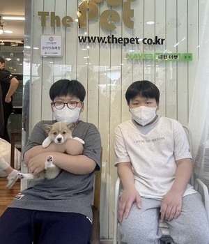 웰시코기 분양후기[22.6.11]