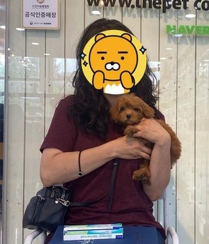 말티푸 분양후기[22.6.6]