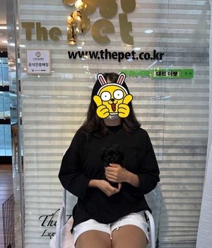 말티푸 분양후기 [22.9.11]