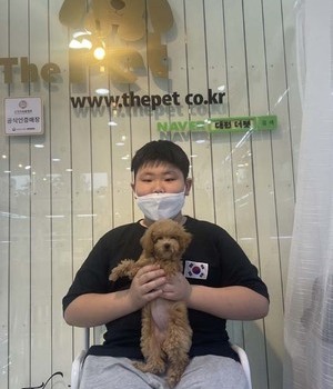 푸들 분양후기[22.6.12]