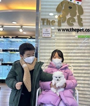 폼피츠 분양후기 [22.12.17]