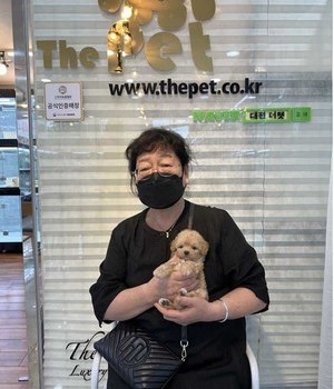 말티푸 분양후기 [22.9.17]