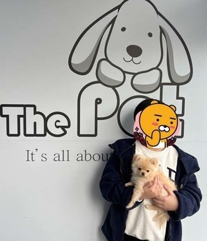 포메라니안 분양후기/중리점 [22.12.29]