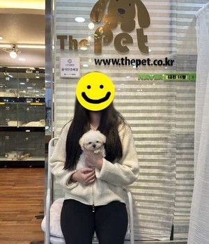 푸들 분양후기 [22.10.31]