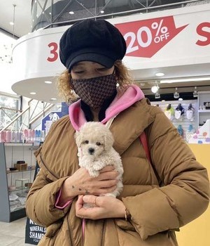 푸들 분양후기 [22.11.22]