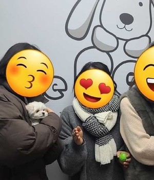 비숑프리제, 말티푸 분양후기/분양후기 [22.12.24