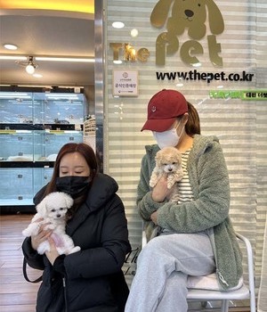 비숑프리제, 말티푸 분양후기 [22.10.27]