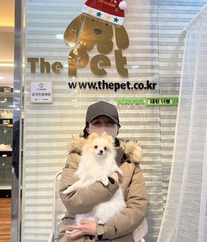 포메라니안 분양후기 [22.12.29]