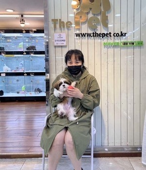 시츄 분양후기[22.5.28]