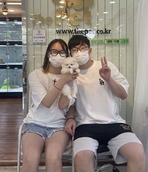 포메라니안 분양후기[22.6.10]