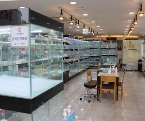 더펫 매장 사진