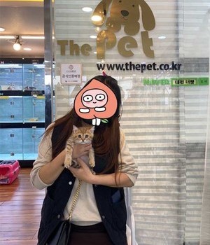 브리티쉬숏헤어 분양후기 [22.11.20]