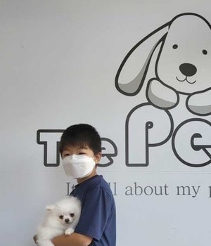 포메라니안 분양후기/중리점 [22.9.25]
