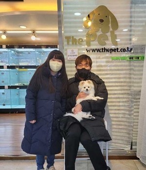 포메라니안 분양후기 [22.12.4]