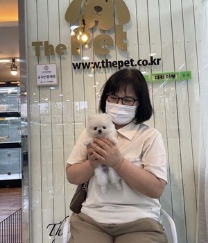 포메라니안 분양후기[22.7.10]