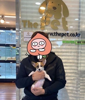 웰시코기 분양후기 [22.10.12]