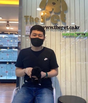 푸들 분양후기[22.6.27]