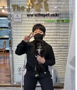 포메라니안 분양후기 [22.10.9]