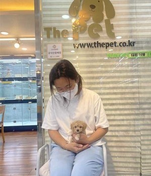 푸들 분양후기 [22.9.20]