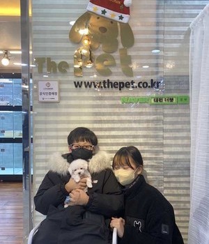 말티즈 분양후기 [22.12.25]