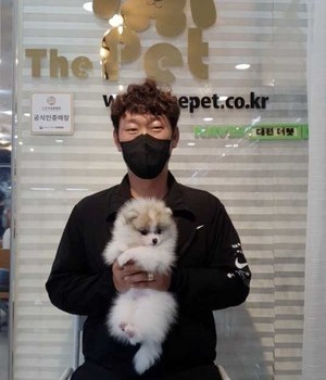 포메라니안 분양후기 [22.8.19]