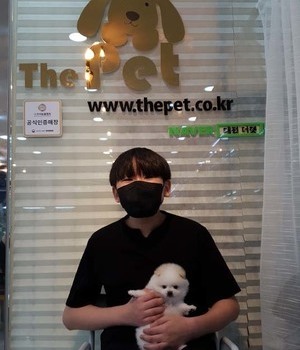 포메라니안 분양후기 [22.8.9]