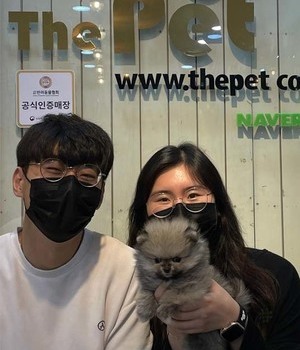 포메라니안 분양후기[22.6.6]