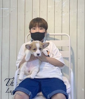 웰시코기 분양후기[22.6.19]