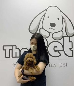푸들 분양후기/중리점 [22.10.2]