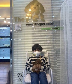 푸들 분양후기 [22.10.30]