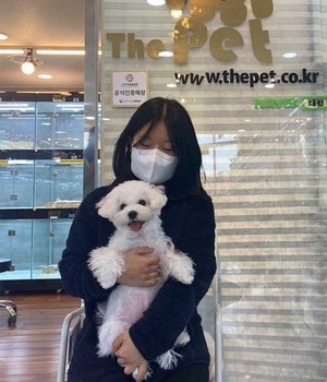비숑프리제 분양후기 [22.11.8]