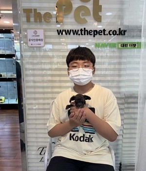 푸들 분양후기 [22.8.7]