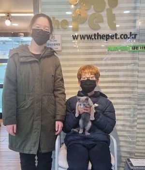 러시안블루 분양후기 [22.12.28]