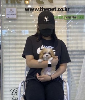말티푸 분양후기 [22.7.16]