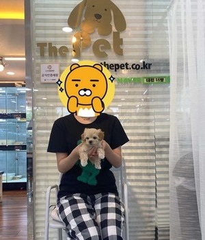 말티푸 분양후기 [22.7.30]