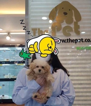 말티푸 분양후기 [22.8.27]
