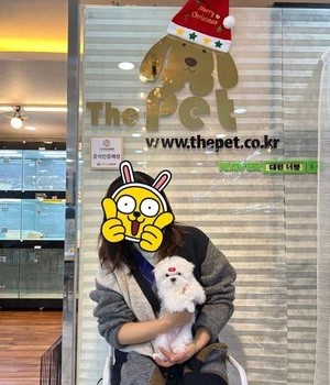말티즈 분양후기 [22.12.21]