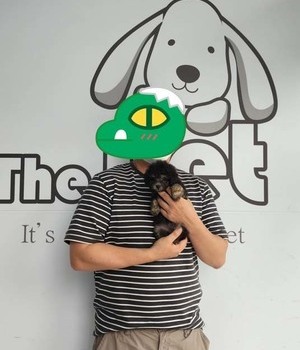푸들 분양후기/중리점 [22.8.6]