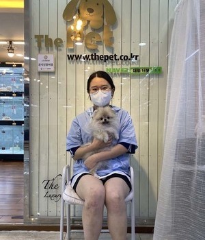 포메라니안 분양후기[22.7.13]