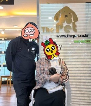 푸들 분양후기 [22.8.31]