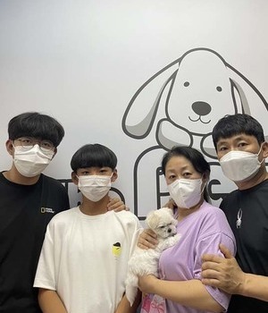 말티푸 분양후기/중리점[22.6.25]