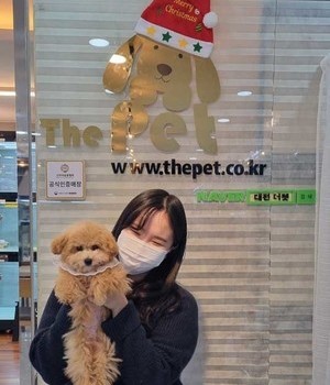 말티푸 분양후기 [22.12.18]